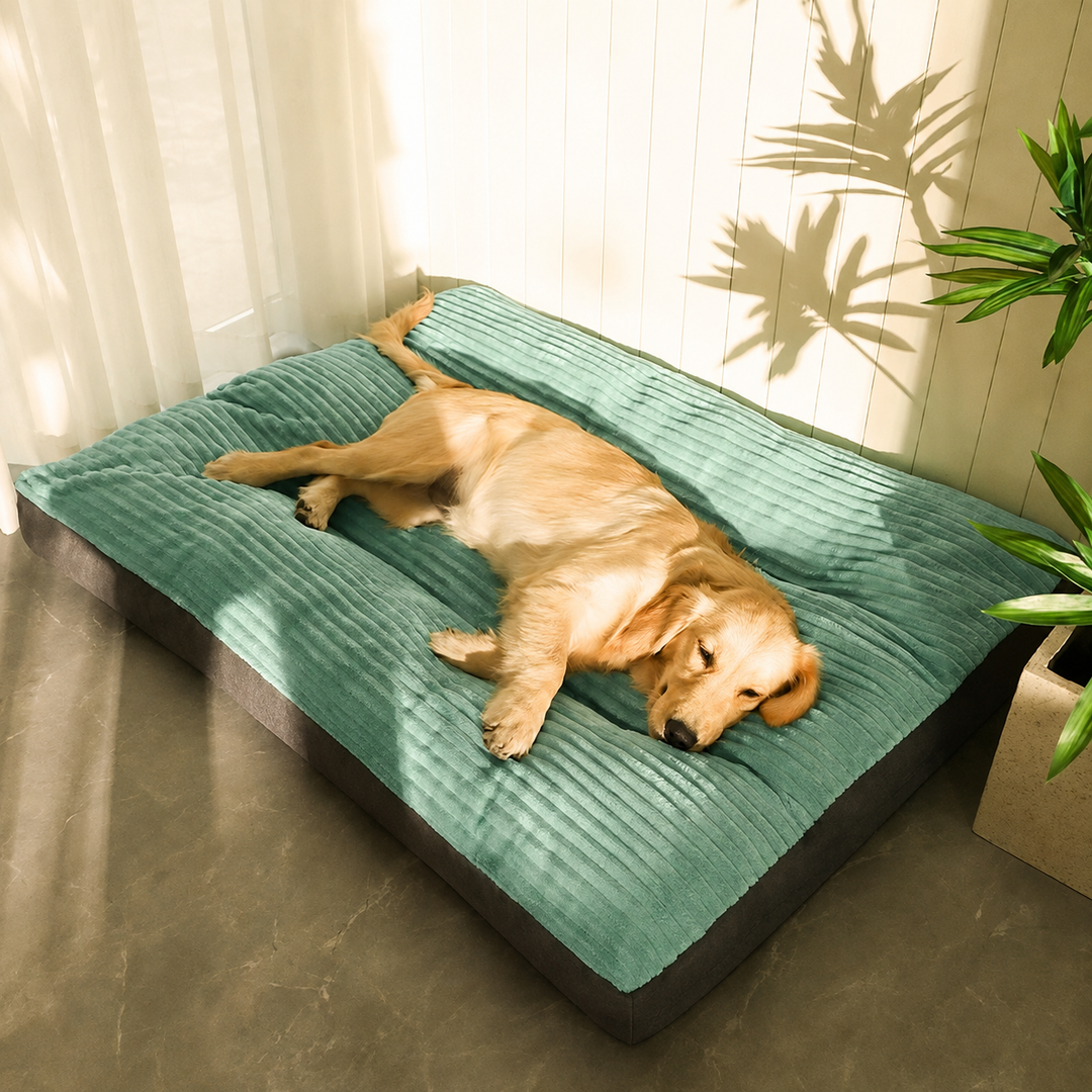 Orthopedisch Hondenkussen | SnuggleRest | Warm & Comfortabel