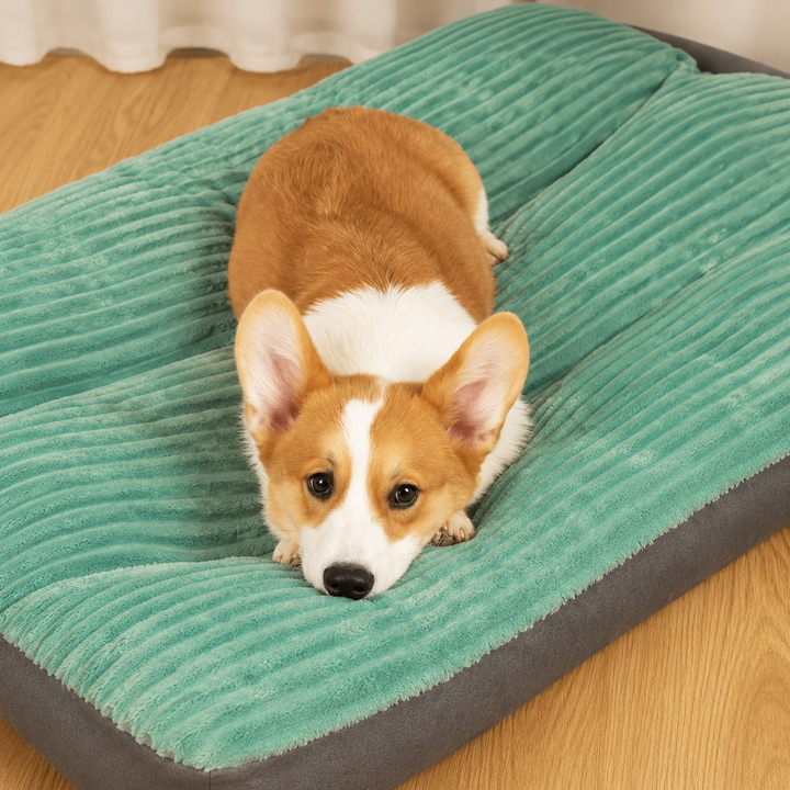 Orthopedisch Hondenkussen | SnuggleRest | Warm & Comfortabel