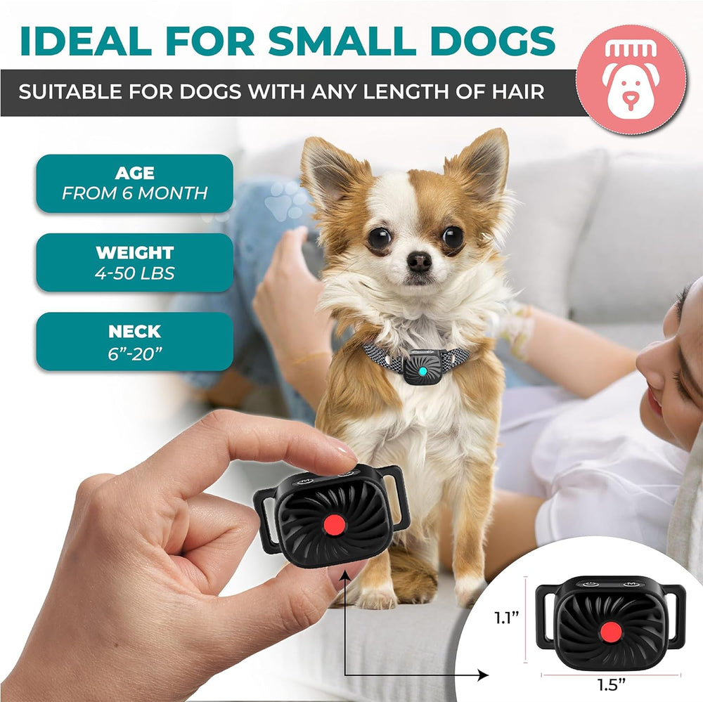 Kleine hond draagt comfortabele anti-blaf halsband; effectieve blafcontrole en training.