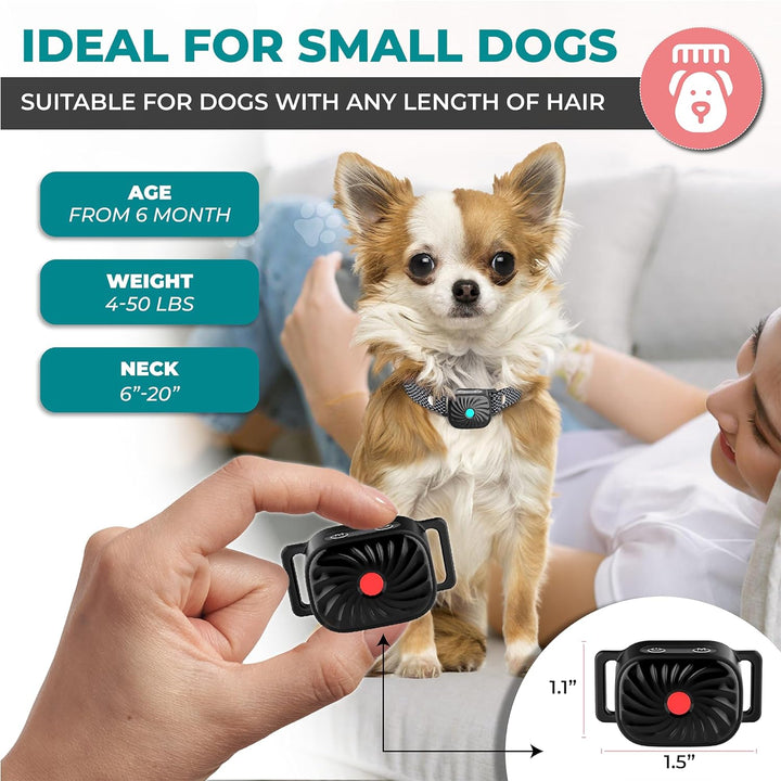 Kleine hond draagt comfortabele anti-blaf halsband; effectieve blafcontrole en training.