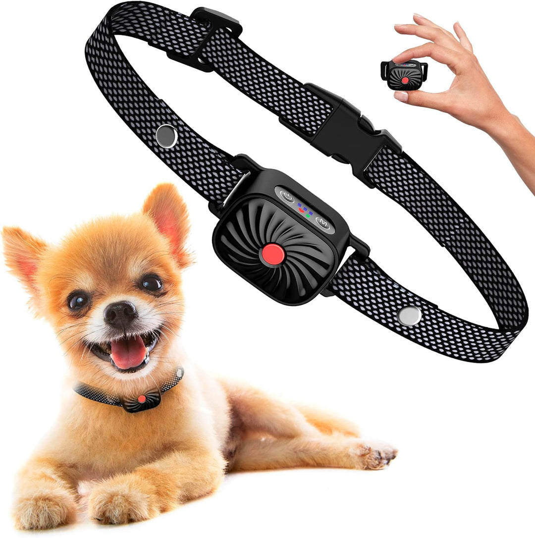 Verpakking: diervriendelijke anti-blaf halsband voor kleine honden, complete set blafcontrole.
