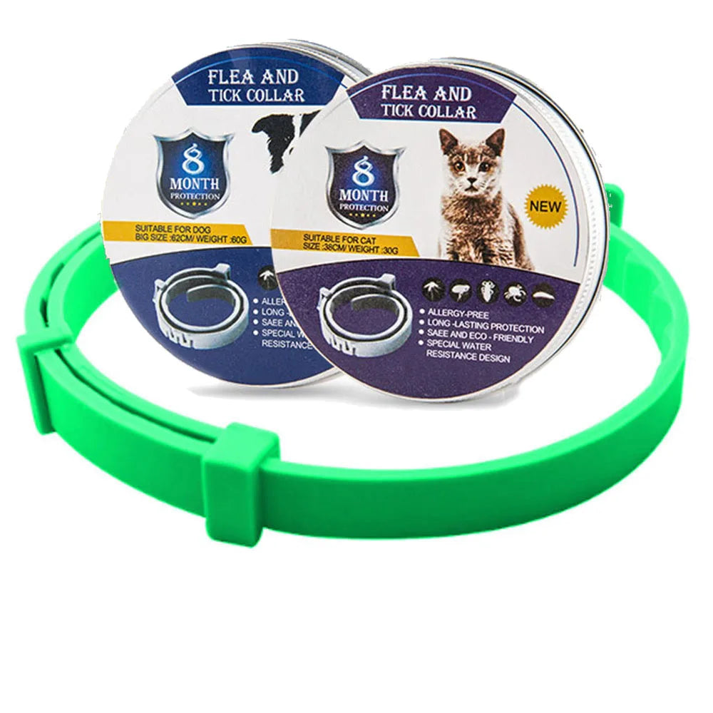 Zwarte kat met effectieve vlooien- en tekenhalsband, beschermt 8 maanden lang tegen parasieten.