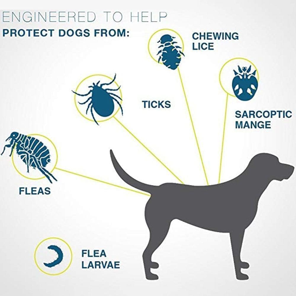 Verstelbare, waterdichte vlooienband voor hond of kat. Effectieve preventie van parasieten, 8 maanden.