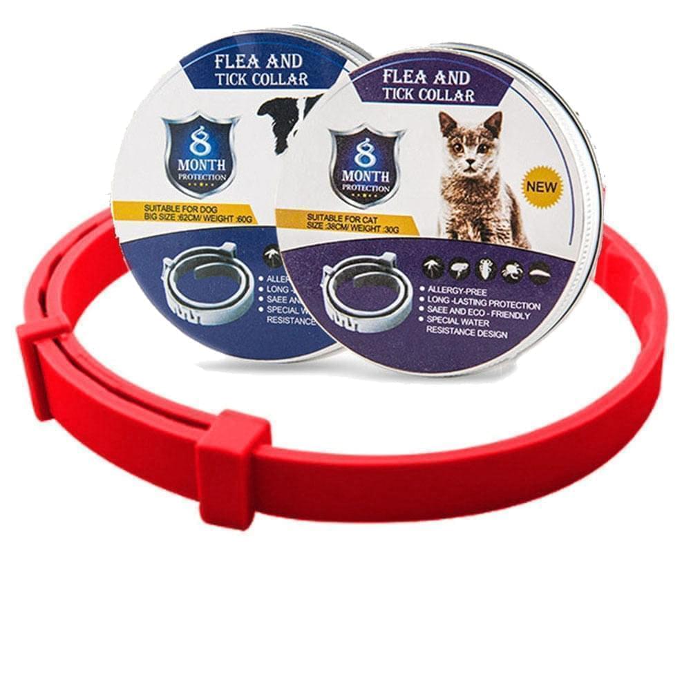 Blije hond met waterdichte vlooien- en tekenhalsband om de nek, 8 maanden effectieve parasietenbescherming.