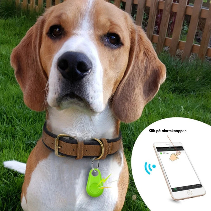 Eenvoudig te installeren mini GPS tracker voor directe live tracking.