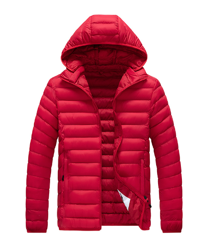 Comfortabel dames pufferjack, gewatteerd met rits en capuchon, perfect voor elke outfit.