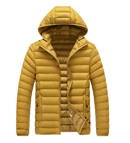 Trendy gewatteerd damesjack met rits en capuchon, ideaal voor herfst- en wintermode.