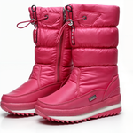 Roze