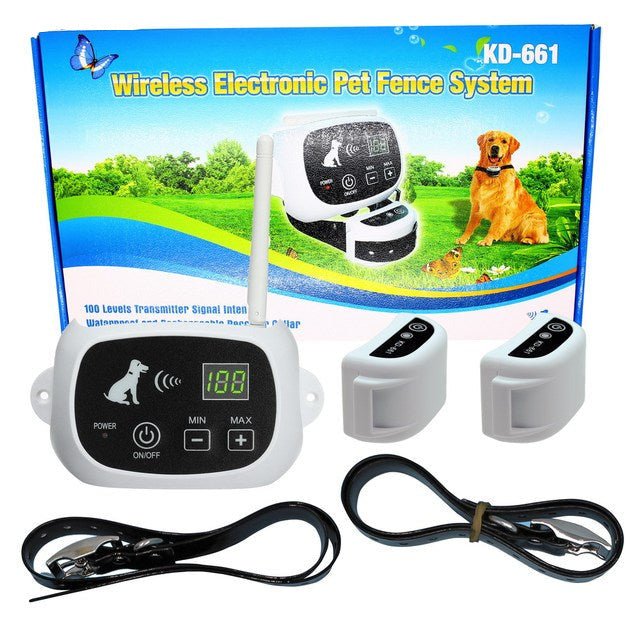 Blonde retriever hond loopt veilig in de tuin met draadloze HaloGuard trainingshalsband aan.