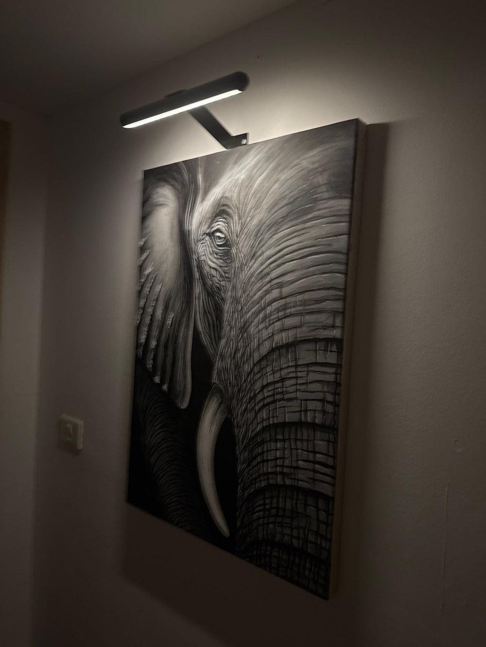 Close-up van de dimbare LED lampen van de draadloze schilderijverlichting voor optimale kunstverlichting.