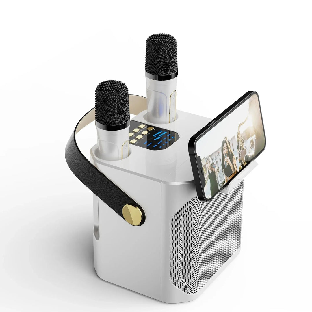 Draagbare karaoke boombox met Bluetooth, dubbele microfoon en subwoofer voor krachtig geluid.