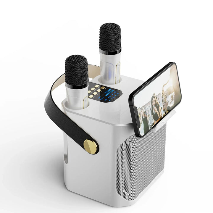 Draagbare karaoke boombox met Bluetooth, dubbele microfoon en subwoofer voor krachtig geluid.