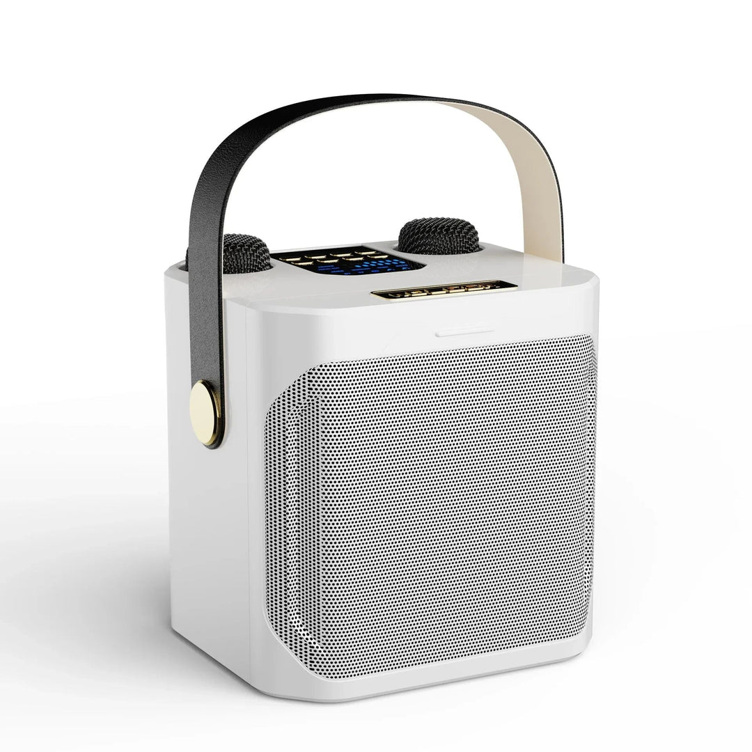 Creëer een onvergetelijk feest met deze krachtige stereo karaoke luidspreker en microfoons.