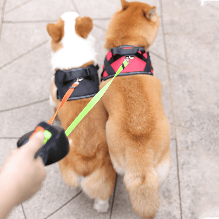 Veilige dubbele hondenriem met zaklamp, ideaal voor avondwandelingen; houdt twee honden onder controle zonder klitten.