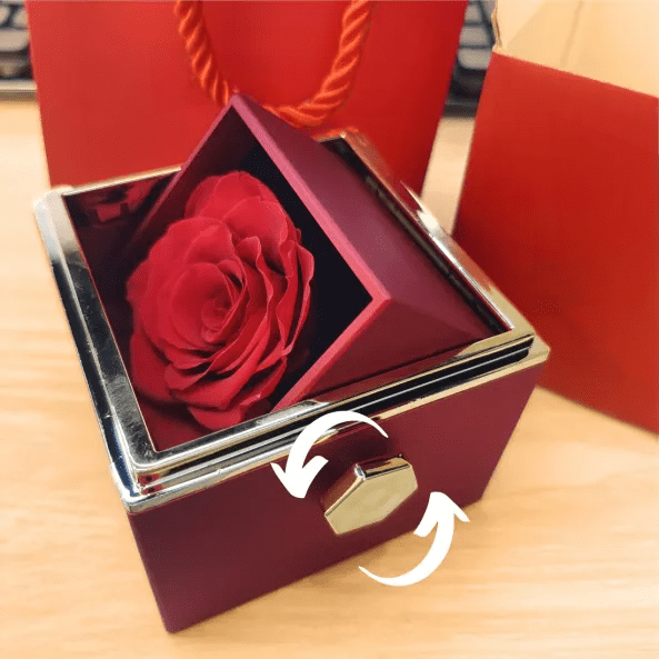 Eeuwige rozen doos met rosé gouden hartprojectieketting, betoverend en elegant sieraad voor betekenisvolle herinneringen.