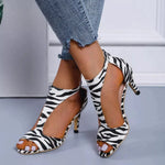 Zebrapatroon