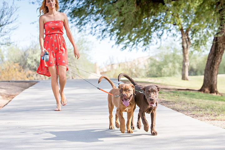 Huisdier accessoire: flexibele dubbele hondenriem met anti-knoop voor probleemloos wandelen met je honden.