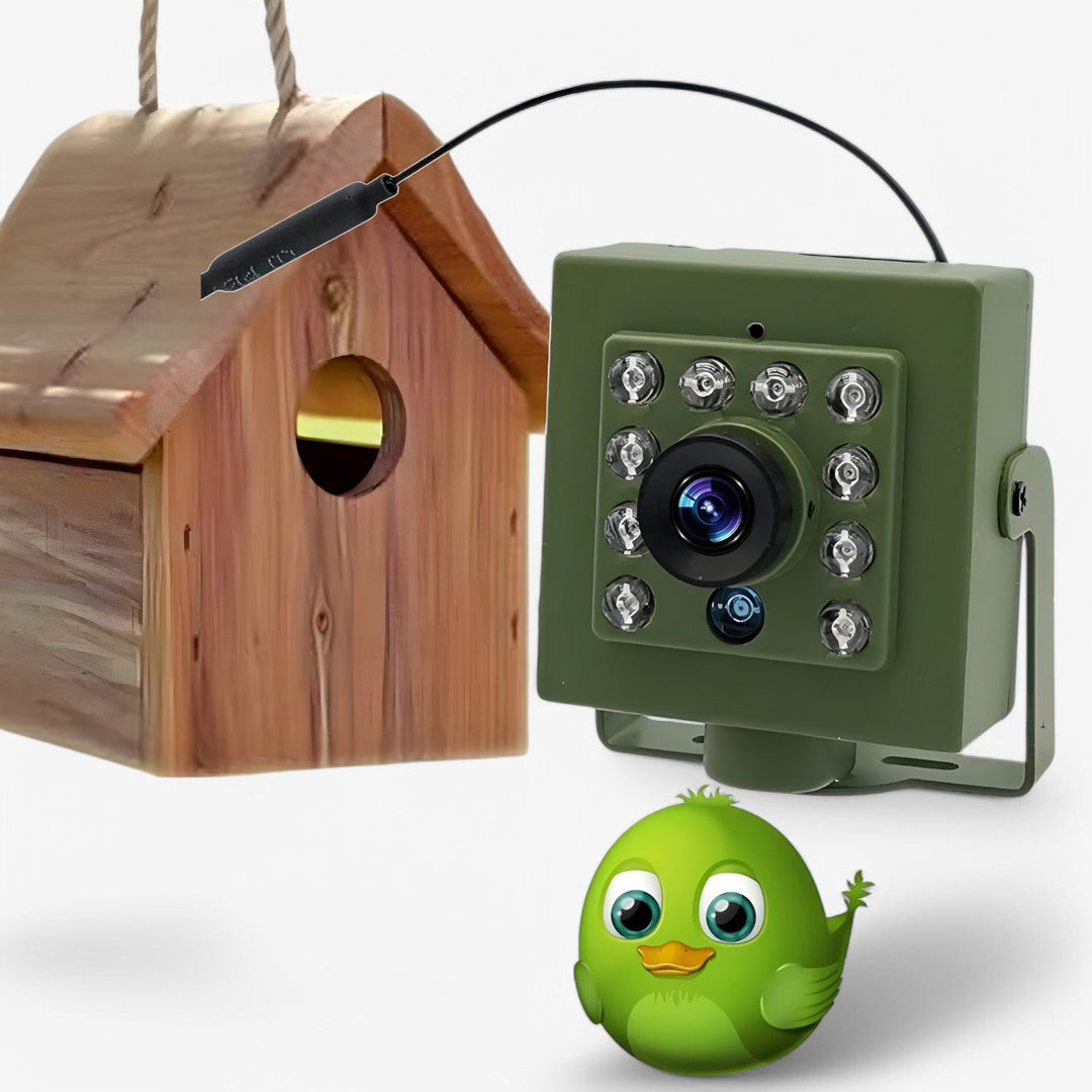 Full HD WLAN buitencamera voor vogelobservatie, weerbestendig en geschikt voor alle seizoenen. Ideaal voor wildlife.