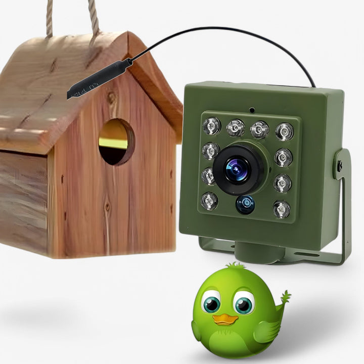 Full HD WLAN buitencamera voor vogelobservatie, weerbestendig en geschikt voor alle seizoenen. Ideaal voor wildlife.