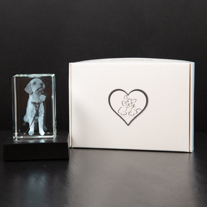 Gepersonaliseerd fotokristal met huisdier of familiefoto, een dierbaar aandenken en uniek geschenk.