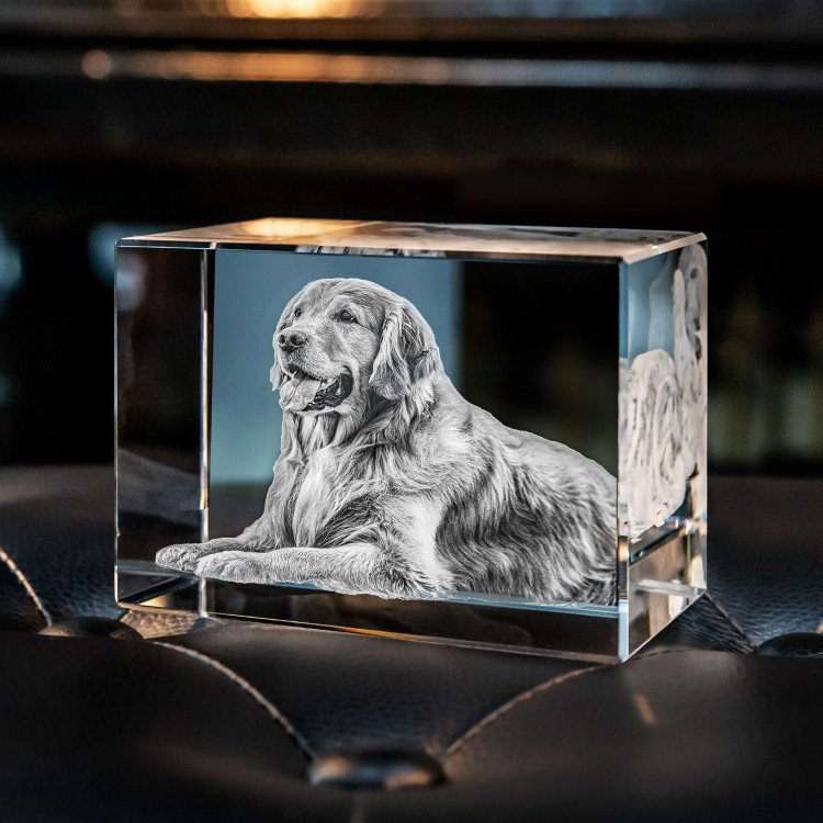 Uniek fotokristal met 3D foto van huisdier, een blijvende herinnering. Gepersonaliseerd geschenk.