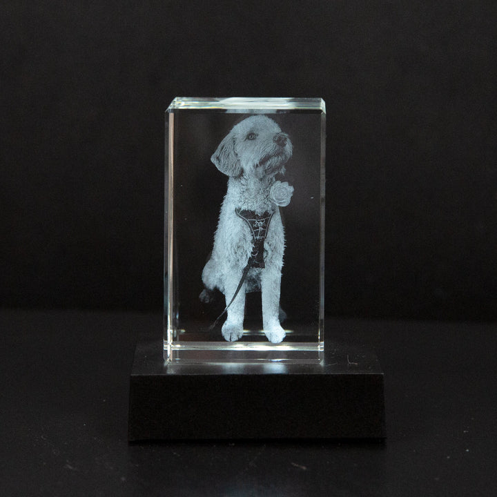 Schitterend fotokristal als gepersonaliseerd cadeau, perfect als decoratie en aandenken.