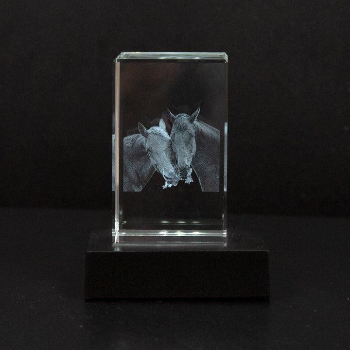 Hoogwaardig 3D fotokristal, een emotioneel aandenken en waardevol gepersonaliseerd geschenk.