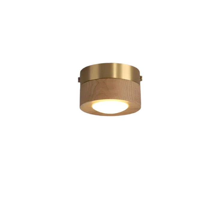Esselhouten plafondlamp met geïntegreerde LED, stijlvolle en energiezuinige interieurverlichting.