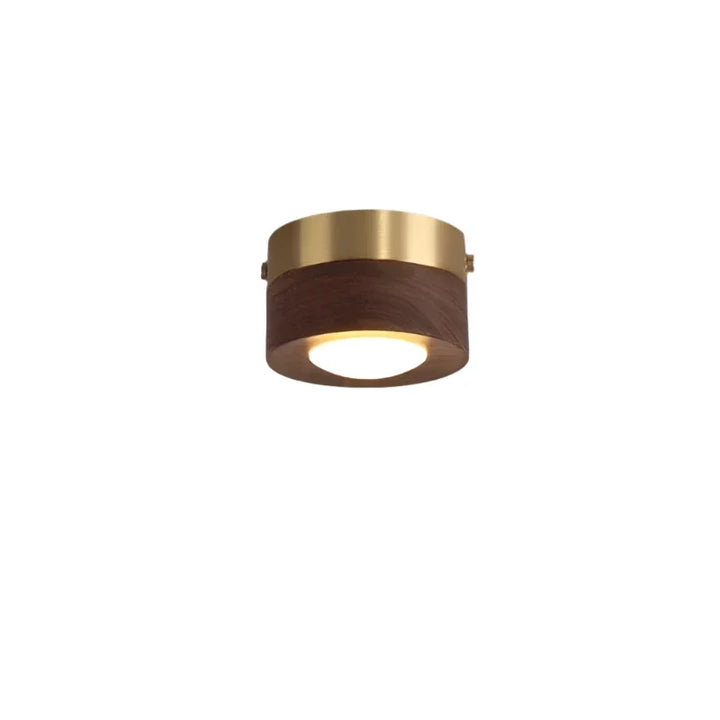 Stijlvolle houten LED plafondlamp voor woonkamer, natuurlijk design met efficiënte verlichting.
