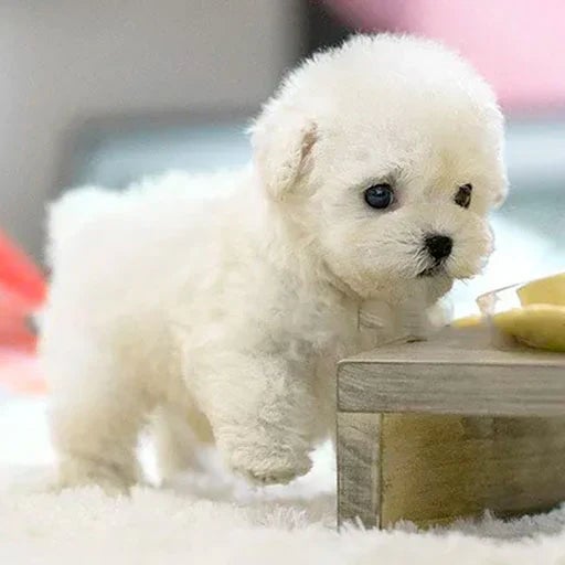 Kind knuffelt blije interactieve pluchen speelgoed hond; realistisch gezelschap & uren speelplezier.