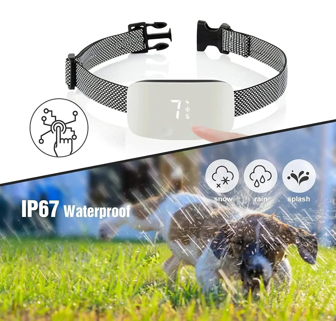 Detailopname van de anti-blaf halsband, waterdicht en oplaadbaar, essentieel voor gedragstraining van honden.