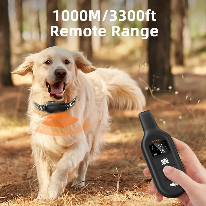 Hond draagt de ProTrain oplaadbare waterdichte trainingshalsband, comfortabel en effectief voor gehoorzaamheid.