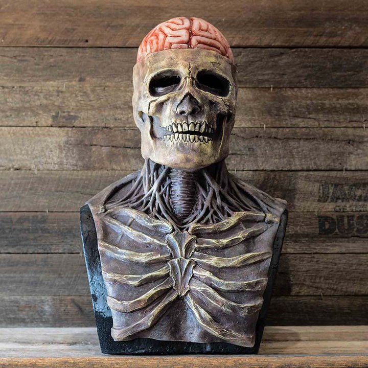 Unisex griezelig schedel masker, het perfecte accessoire voor een horror themafeest.