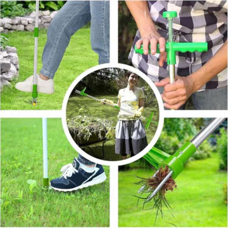 Ergonomische onkruidtrekker voor staand wieden, voorkomt rugpijn. Handig tuingereedschap voor onderhoud.