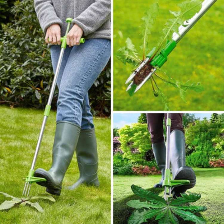Onkruidtrekker in actie, toont gemakkelijke wortelverwijdering zonder bukken. Ideaal voor tuinonderhoud.