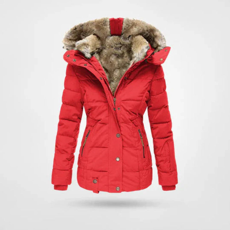 Dames winterjas met gevoerde capuchon, dubbele sluiting en hoog comfort. Trendy en warm, een must-have winterjas.
