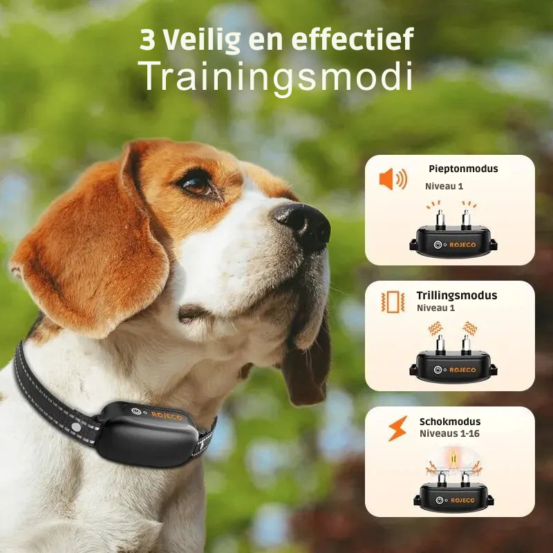 Hond draagt waterdichte trainingshalsband, leert snel gehoorzaamheid en corrigeert ongewenst gedrag.