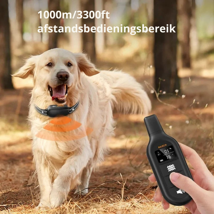 Verstelbare hondenhalsband voor gedragstraining, waterdicht en geschikt voor diverse hondenrassen en maten.