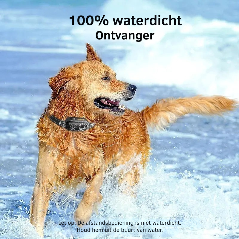 Effectieve hondentrainingshalsband met diverse modi, bestuurd via afstandsbediening voor optimale gedragsaanpassing.