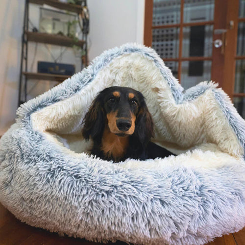 Zacht pluche Cozycave grottenbed voor honden, kalmerend en comfortabel, ideaal bij angstverlichting.