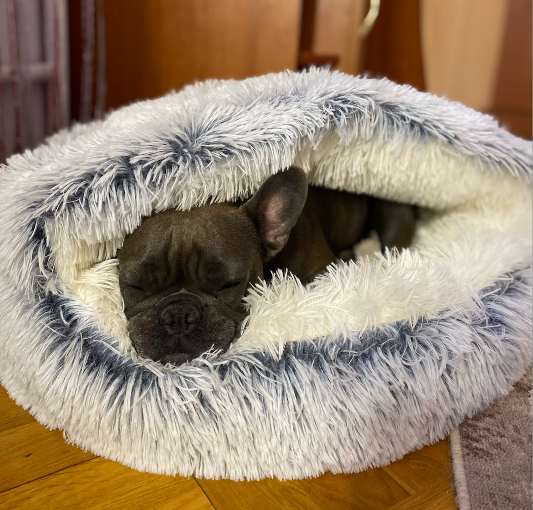 Veilige en geborgen slaapplek: Cozycave grottenbed voor angstige honden, met zacht pluche en goede ondersteuning.